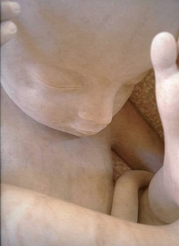 Marc Quinn Evolution