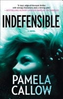 Indefensible (A Kate Lange Novel, Book 2)