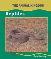 Reptiles