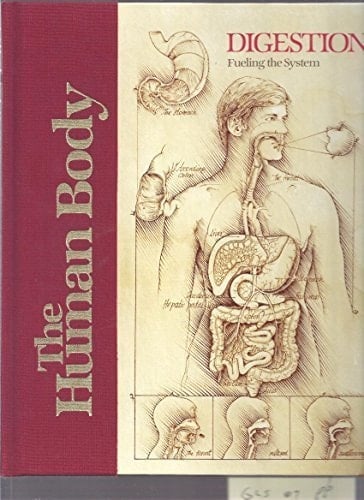 Digestion Fueling the System