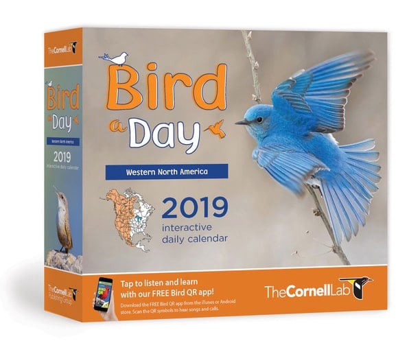 Bird a Day 2019 Daily Calendar: Western North America