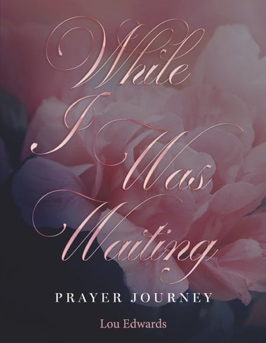 While I Was Waiting Prayer Journey