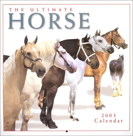 The Ultimate Horse 2003 Calendar