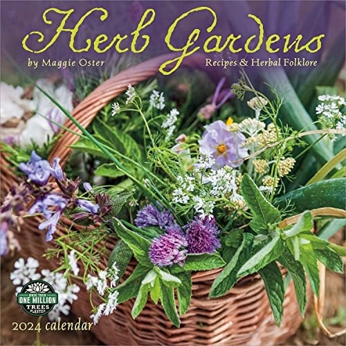 Herb Gardens 2024 Wall Calendar: Recipes & Herbal Folklore by Maggie Oster | 12" x 24" Open | Amber Lotus Publishing