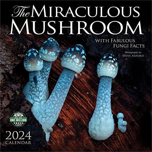 The Miraculous Mushroom 2024 Wall Calendar: With Fabulous Fungi Facts | 12" x 24" Open | Amber Lotus Publishing
