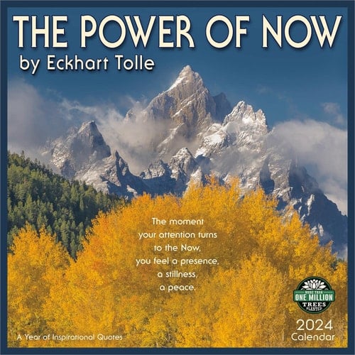The Power of Now 2024 Wall Calendar: A Year of Inspirational Quotes by Eckhart Tolle | 12" x 24" Open | Amber Lotus Publishing