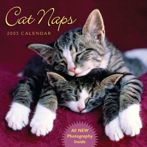 Cat Naps 2005 Calendar
