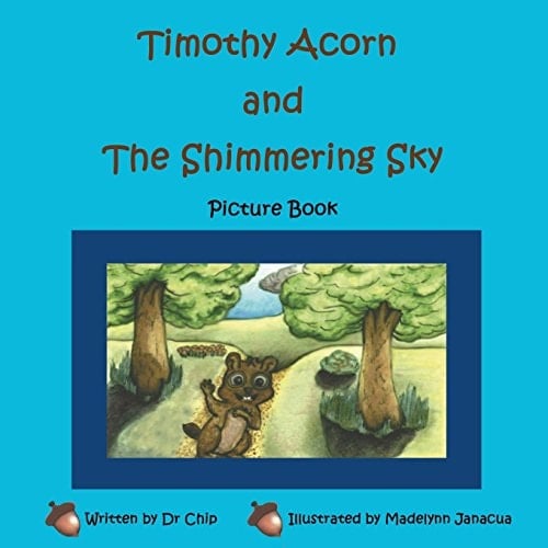 Timothy Acorn & the Shimmering Sky Picture Book