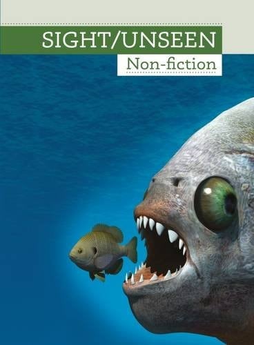 Sight/unseen Non-fiction
