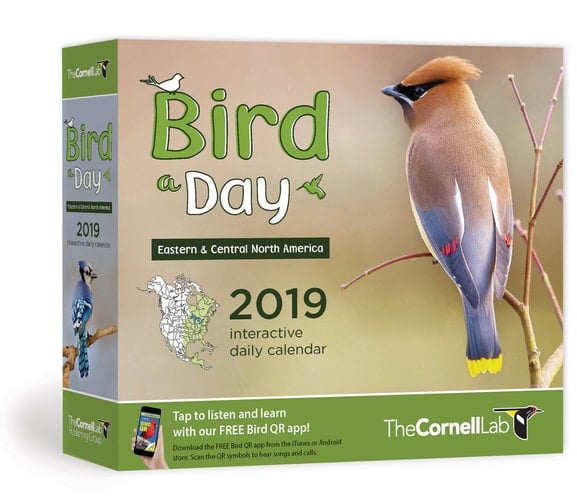 Bird-A-Day 2019 Daily Calendar Eastern & Central North America