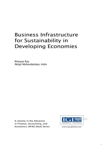 Business Infrastructure for Sustainability in Developing Economies