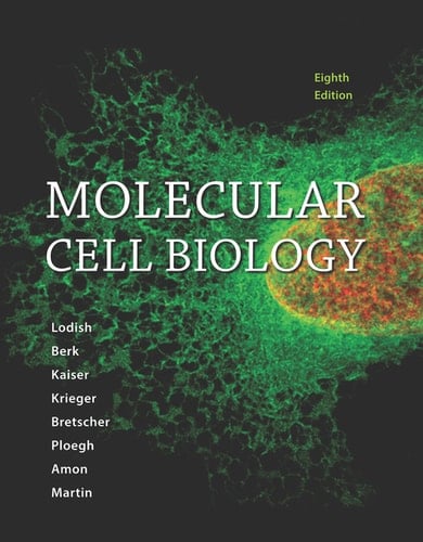Molecular Cell Biology