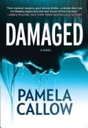 Damaged (A Kate Lange Novel, Book 1)