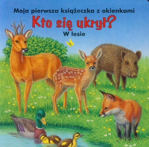 Kto się ukrył? w lesie moja pierwsza książeczka z okienkami