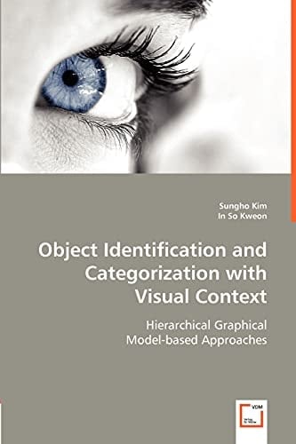 Object Identification and Categorization with Visual Context: Hierarchical Graphical Model-based Approaches