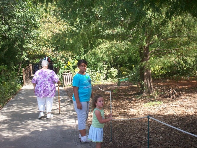 Words I Use When I Write Grd 1-2