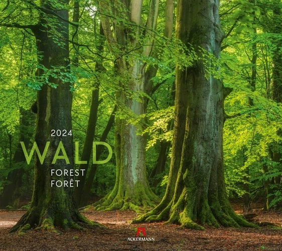 Wald 2024