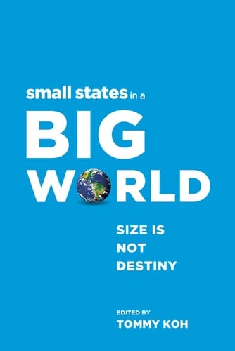 Small States in a Big World Size is Not Destiny