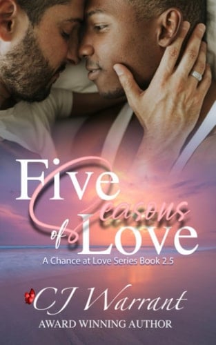Five Seasons of Love (A Chance At Love Series)