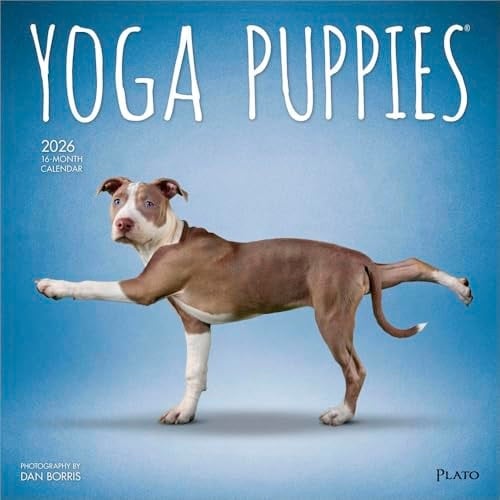Yoga Puppies 2026 Square Plato