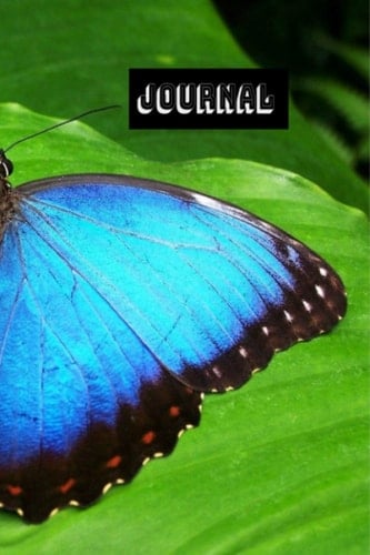 JOURNAL: Butterfly 6x9