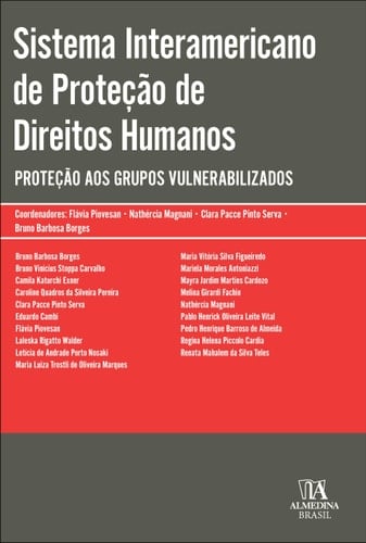 Sistema Interamericano De Proteo De Direitos Humanos : Proteo Aos Grupos Vulnerabilizados (Portuguese Edition)