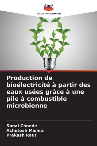 Production de bioélectricité à partir des eaux usées grâce à une pile à combustible microbienne