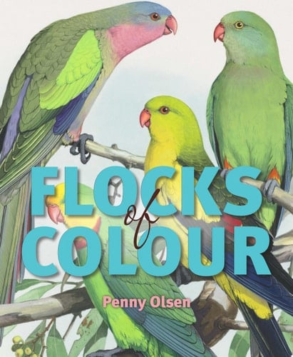 Flocks of Colour