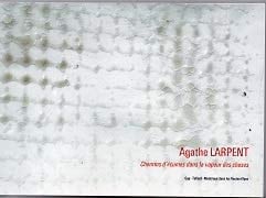 Agathe Larpent, Chemins d'écumes dans la vapeur des choses