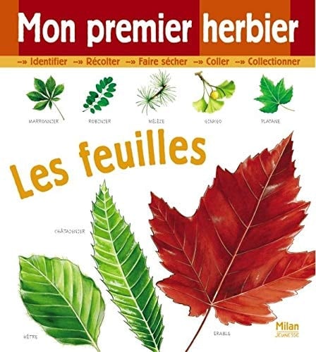 Mon premier herbier les feuilles