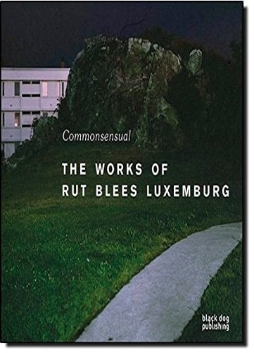 Commonsensual The Works of Rut Blees Luxemburg