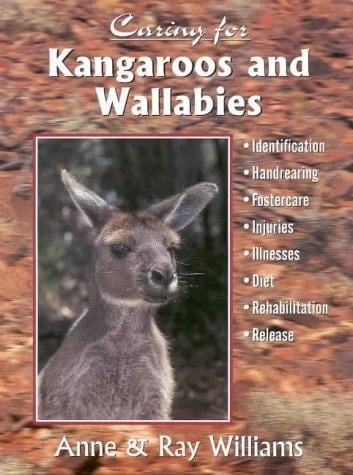 Caring for Kangaroos and Wallabies
