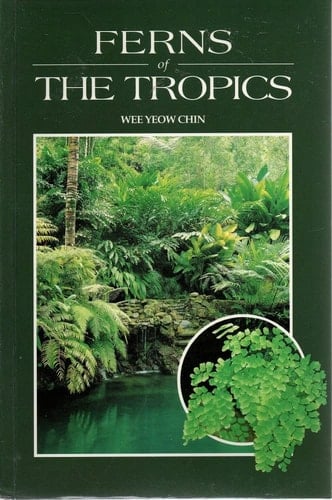 Ferns of the Tropics