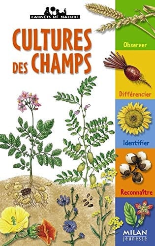 Cultures des champs plantes agricoles