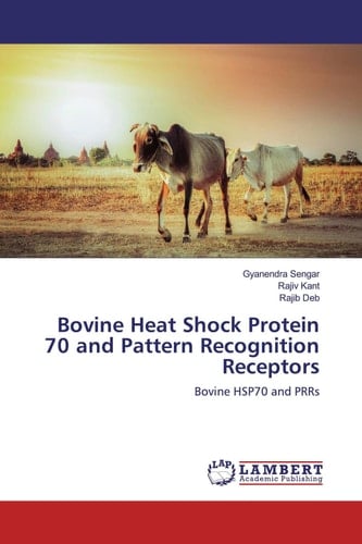 Bovine Heat Shock Protein 70 and Pattern Recognition Receptors: Bovine HSP70 and PRRs