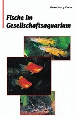 Fische im Gesellschaftsaquarium