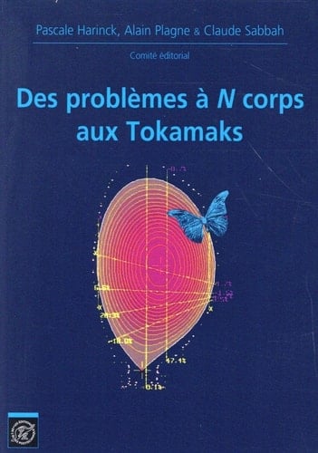 Des problèmes à N corps aux Tokamaks