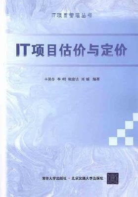 Evaluation and Pricing of IT Projects