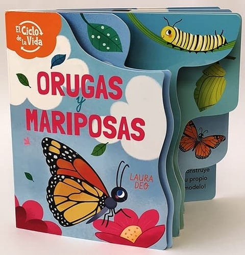 Orugas y mariposas