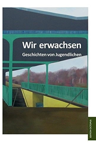 Wir erwachsen Geschichten von Jugendlichen