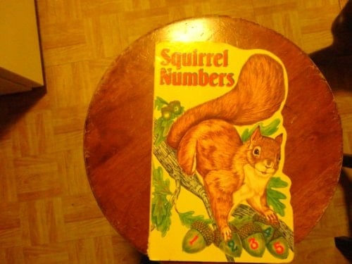 Squirrel Numbers