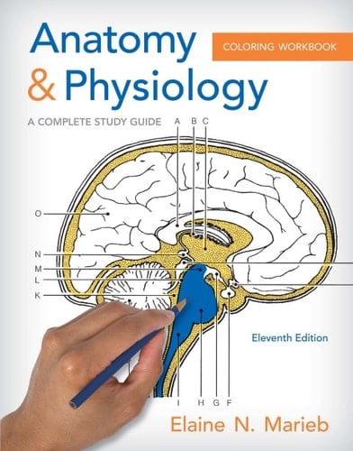 Anatomy and Physiology Coloring Workbook