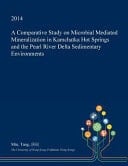 A Comparative Study on Microbial Mediated Mineralization in Kamchatka Hot Springs and the Pearl River Delta Sedimentary Environments