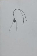 Issue 1 Art and Freedom