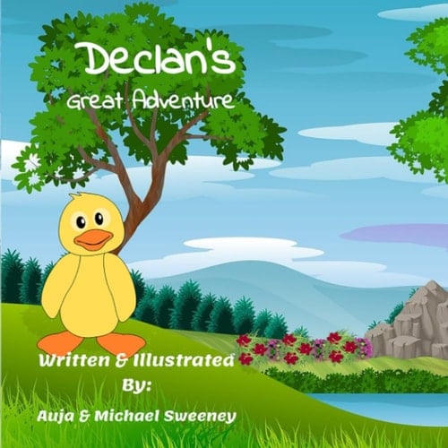 Declan's Great Adventure