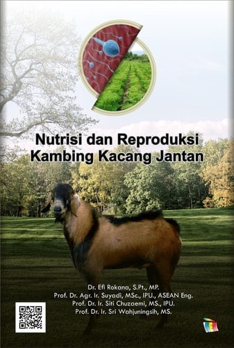Nutrisi dan Reproduksi Kambing Kacang Jantan