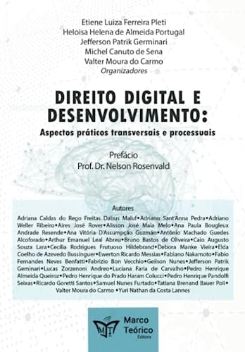 Direito Digital e Desenvolvimento:: Aspectos práticos transversais e processuais (Portuguese Edition)