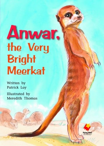 Anwar, the Very Bright Meerkat