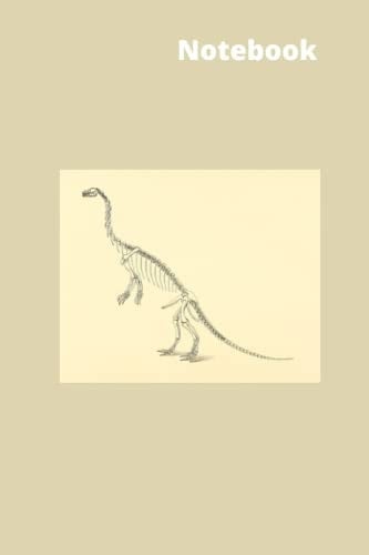 Notebook: 60 double-sided blank lined inner pages (120 total pages)