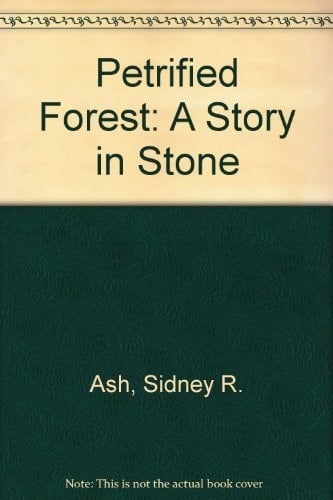 Petrified Forest A Story in Stone